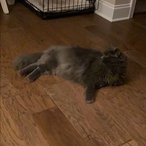 Meet your Posher, Gail